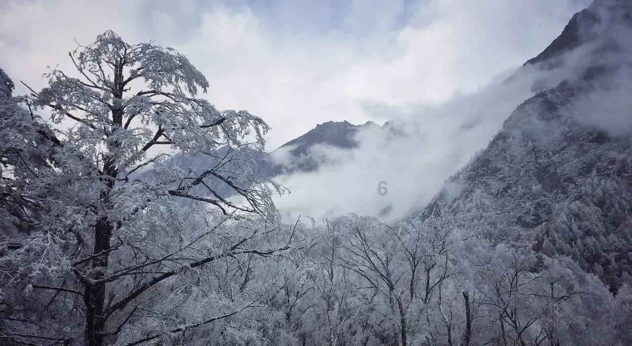 电脑怎么下淘宝
