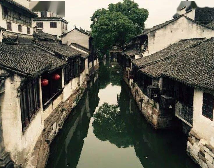 茅奖得主迟子建推出新作《东北故事集》