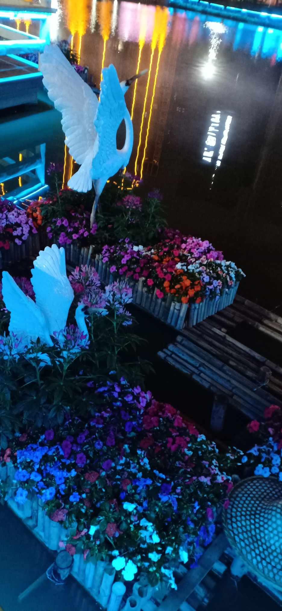 救援沙滩女孩